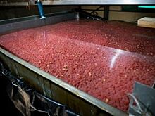В Приморье впервые выдали льготный кредит под 3.75 % годовых
