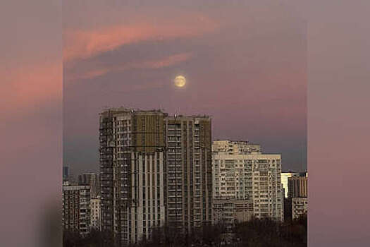 ТАСС: над Подмосковьем сняли на камеру "Бобровую луну"