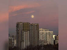 ТАСС: над Подмосковьем сняли на камеру "Бобровую луну"