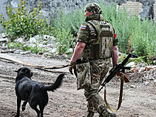 В Киеве подтвердили обмен территориями между Россией и Украиной