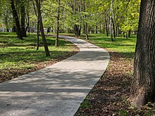 Ахлебиновская роща Тамбова участвует в конкурсе «Город в деталях. Живое наследие»