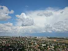 Стивен Сигал построит завод в Волгоградской области