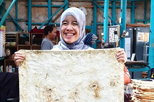 Индонезийский стартап производит альтернативную кожу из грибов