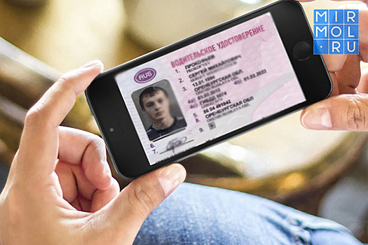 К 2020 году жители страны перейдут на электронные водительские права