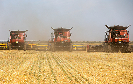 Россия с начала 2025 года собрала 100 млн тонн зерна