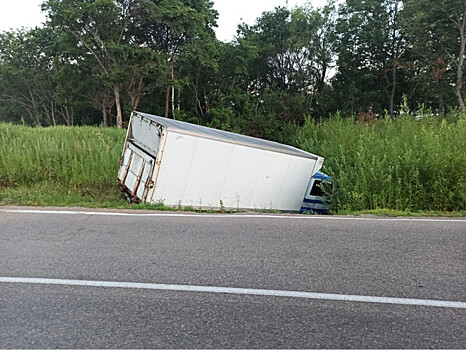 В Приморье водитель грузовика уснул за рулём и попал в серьёзное ДТП