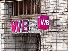 Нижегородцы снова выступили против строительства склада Wildberries