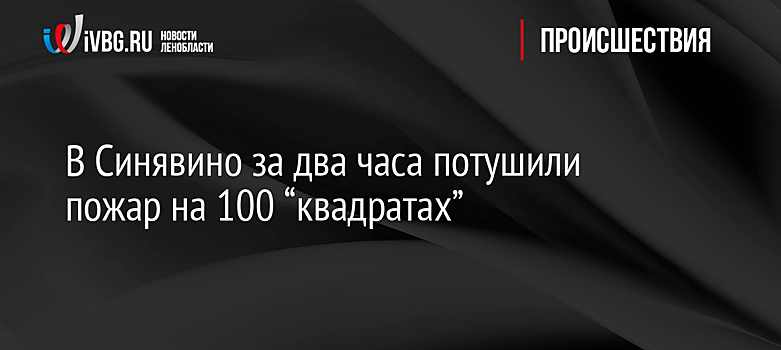 В Синявино за два часа потушили пожар на 100 “квадратах”