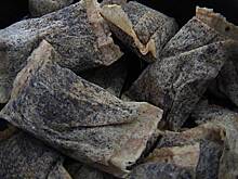 Нарколог предупредил об опасности популярных у зумеров «грибных снюсов»