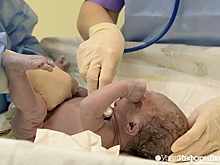 В Госдуме попросили Минздрав пересмотреть политику сокращения роддомов