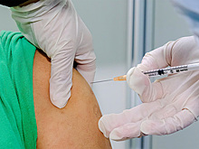 В ЕС одобрили введение «вакцинного паспорта»