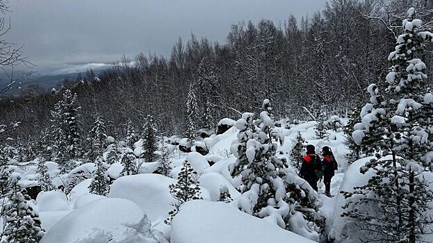 Юрист: пропавшие Усольцевы могут быть признаны умершими весной 2026 года