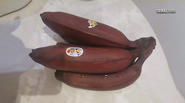 Индия хочет заменить Эквадор в поставках бананов в Россию
