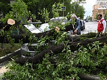 Как вести себя во время урагана: инструкция от спасателей