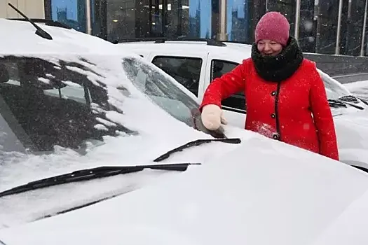 В Подмосковье взялись за благоустройство штрафстоянок