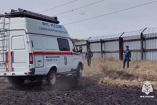 МЧС РФ: причиной крупного пожара в Бурятии стал горючий фрагмент мусора