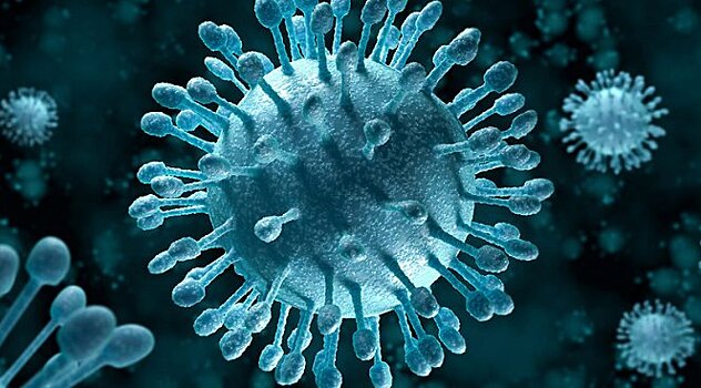 Беременность способствует выведению новых опасных вирусов гриппа