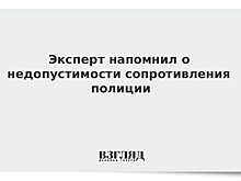 Эксперт напомнил о недопустимости сопротивления полиции