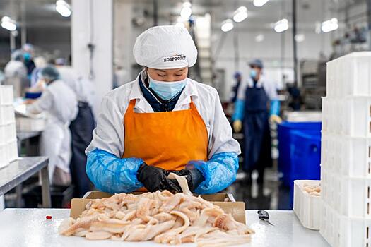 При поддержке ВТБ «Южморрыбфлот» модернизирует логистический узел