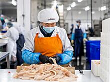 При поддержке ВТБ «Южморрыбфлот» модернизирует логистический узел