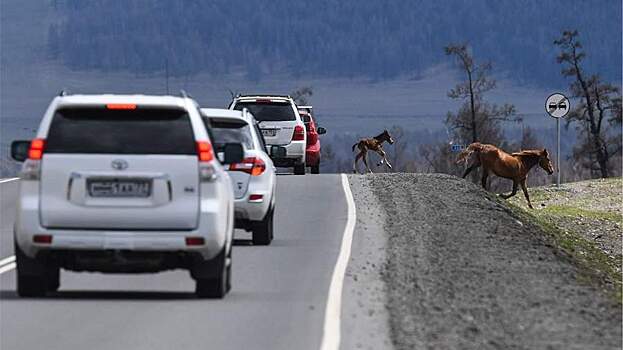 Какие автопутешествия предпочитают россияне