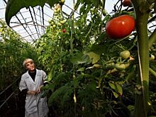 Известное в Приморье предприятие сдалось перед налоговой