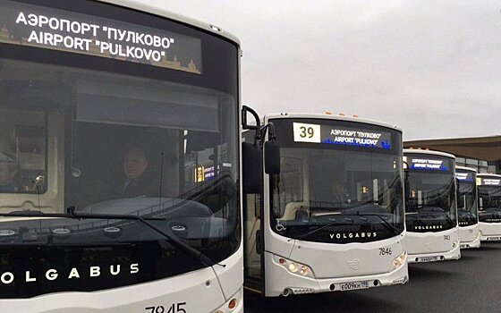 Новые автобусы для гостей «Пулково» представили в Петербурге