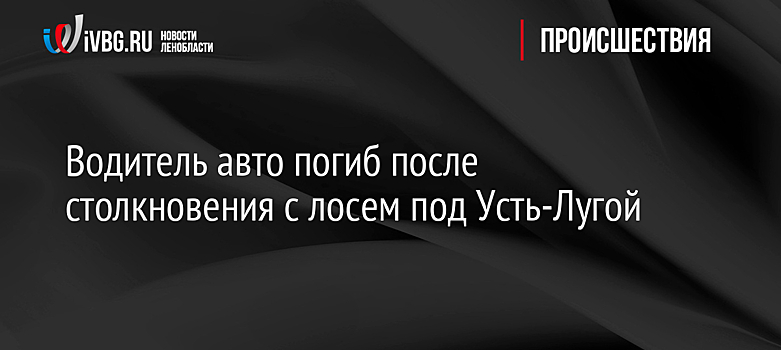 Водитель авто погиб после столкновения с лосем под Усть-Лугой