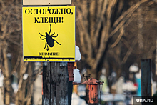 В Свердловскую область привезли 17 миллионов клещей