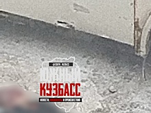 "Автобус покатился": жуткое ДТП с погибшим произошло в кузбасском городе