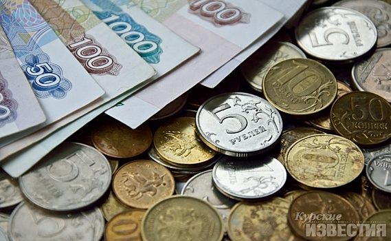 В Курской области на поддержку предпринимателей планируют потратить 230 млн рублей
