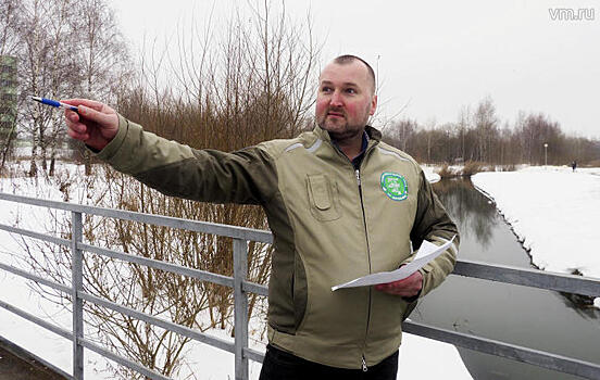 На страже экологии: «ВМ» выяснила, как укрепляют «зеленый щит» столицы