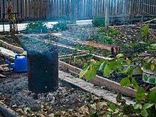 Удобрения, которые любят бывалые дачники: осенний рецепт плодородия