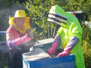 «Поддержка очень сильная»: предприниматель-пчеловод рассказал об участии в проекте «Продукт Башкортостана»