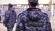 Более 440 экипажей Росгвардии обеспечат безопасность в Москве в праздники