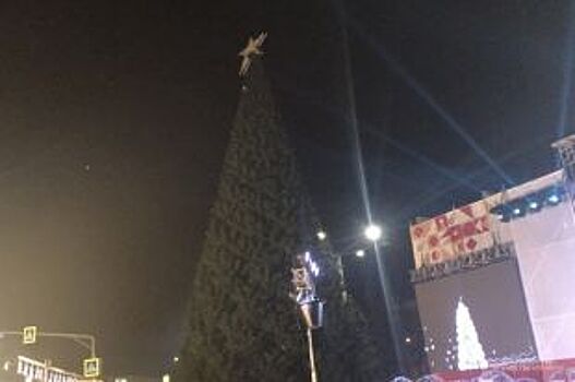 Елку на площади Ленина нарядят до 14 декабря