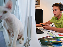 40% родителей ежемесячно выкладывают более 7 тыс. рублей за курсы и репетиторов