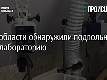 В Ленобласти обнаружили подпольную нарколабораторию