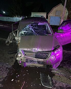 Пассажир «Skoda Yeti» пострадал от столкновения с деревом под Саратовом