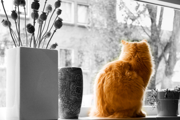 Сегодня слишком хорошая погода, чтобы сидеть дома с плохим настроением Представляем прогноз на 29 апреля в Владимире