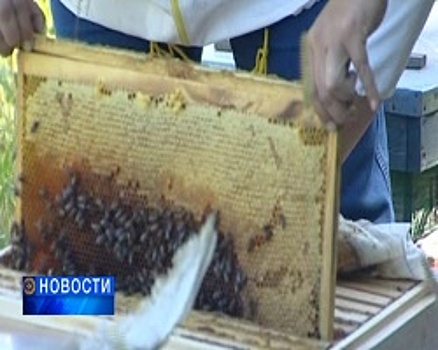 В Уфе прошёл региональный этап конкурса «Лучший по профессии» среди пчеловодов республики