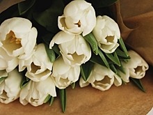 Волонтеры Победы поздравили женщин-ветеранов с 8 Марта: «Приближали победу наравне с мужчинами»