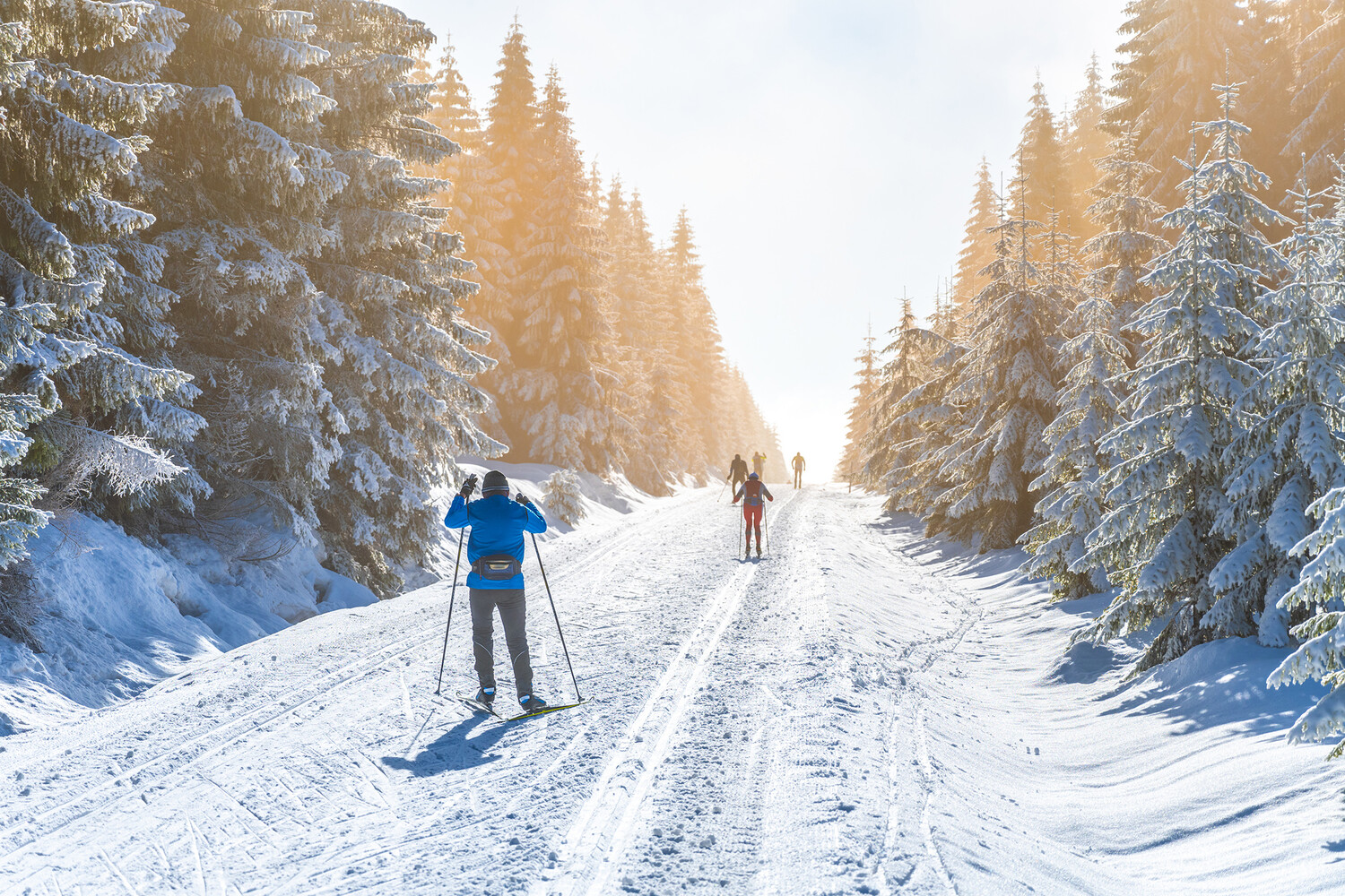 Вильфанд: горнолыжный сезон в России завершается в конце недели