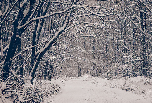 В национальном парке "Самарская Лука" дружная весна "развезла" зимник