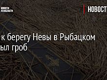 Фото: к берегу Невы в Рыбацком приплыл гроб