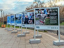 Посвященная проекту "Питомцы в Москве" фотовыставка открылась в парке "Яуза"