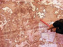 К поискам пропавшего в Беловежской пуще мальчика подключился Интерпол