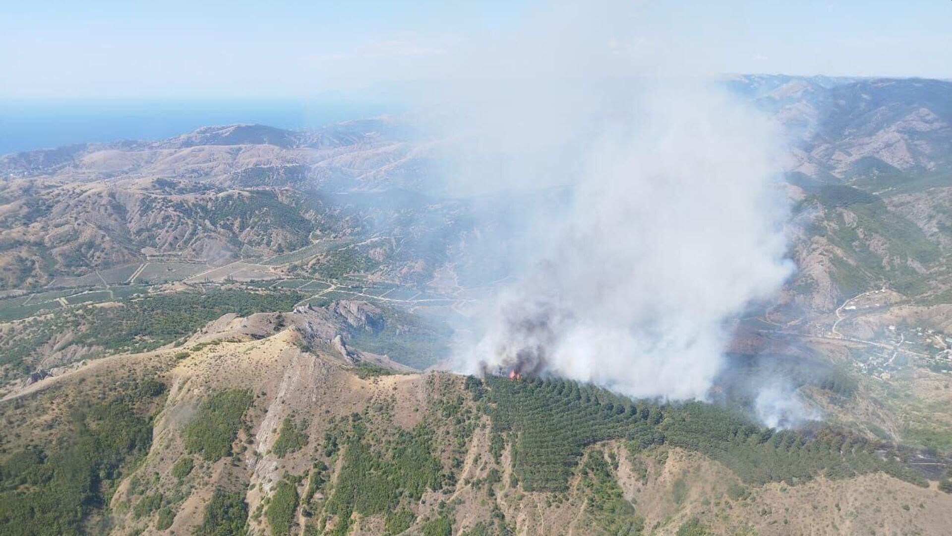 В Рослесхозе назвали предварительную причину лесного пожара в Судаке
