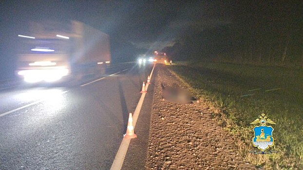 Мужчина погиб под колесами автобуса, который вез пассажиров из Москвы в Кострому