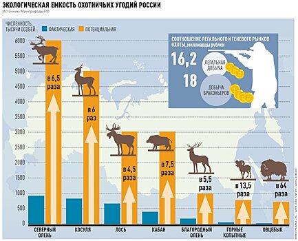 В СЗФО растет крупных хищников, наносящих урон местным хозяйствам